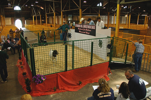 Goat Auction