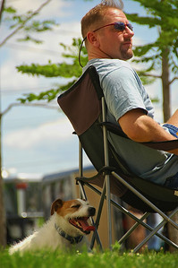 Horse show dog