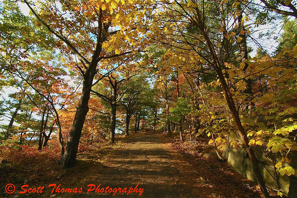 Mountain trail displaying the autumn colors in upstate New York.